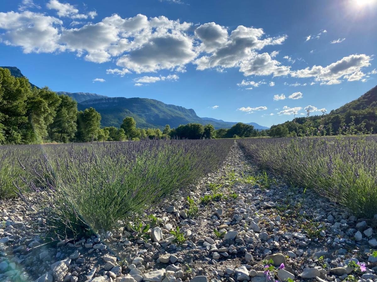 Gite En Haute Provence Montfroc Kültér fotó