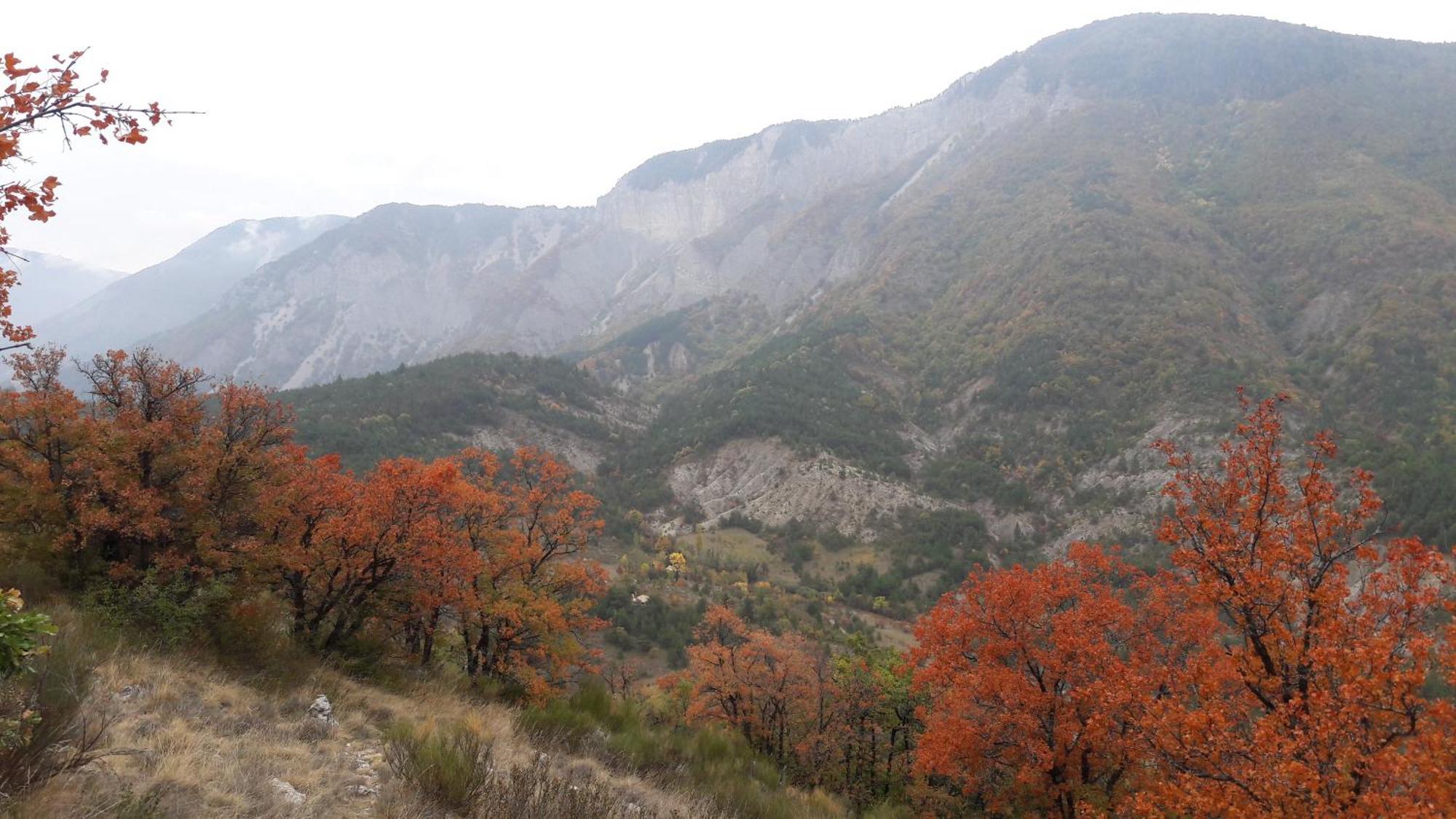 Gite En Haute Provence Montfroc Kültér fotó