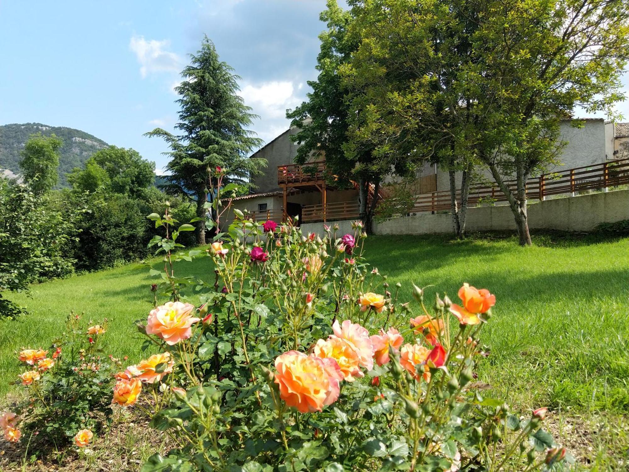 Gite En Haute Provence Montfroc Kültér fotó