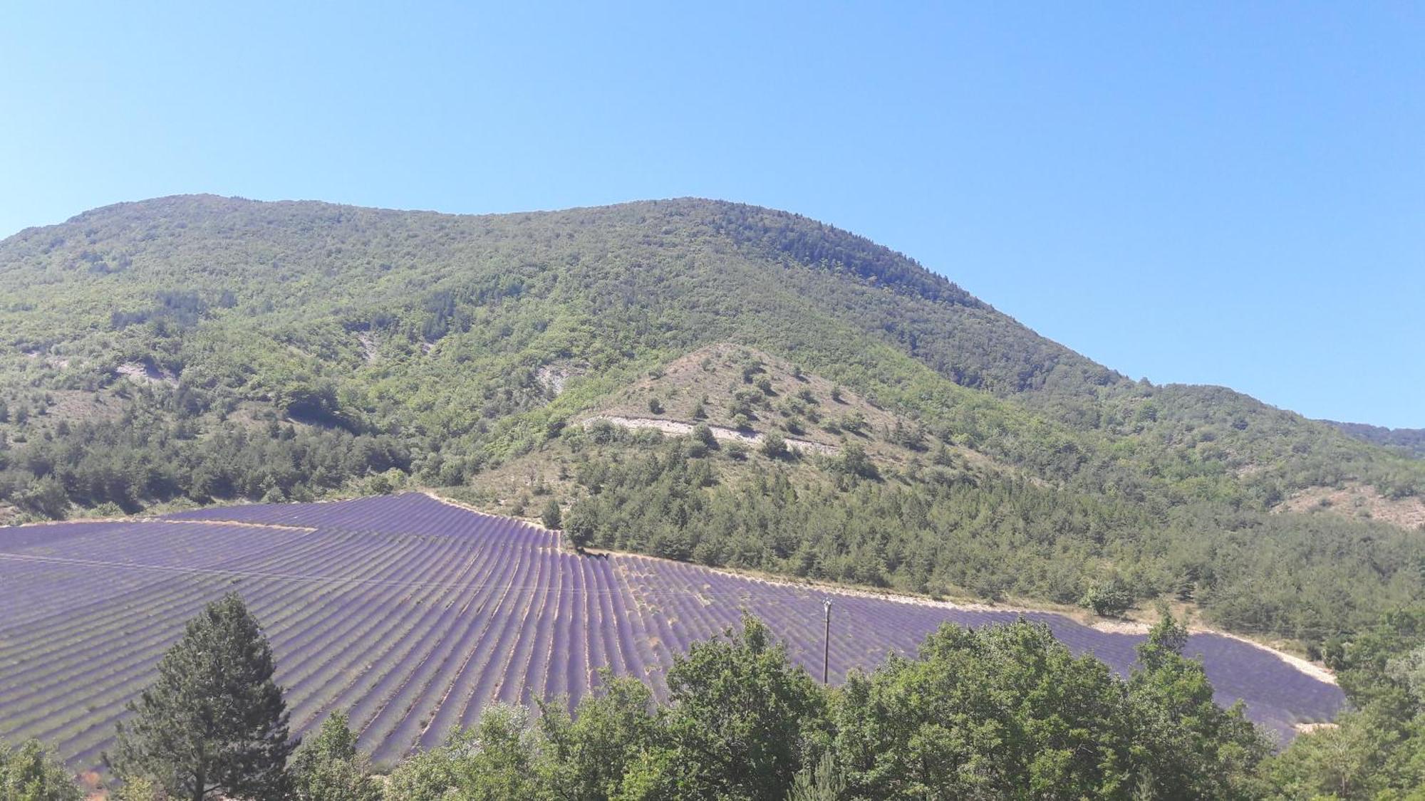 Gite En Haute Provence Montfroc Kültér fotó